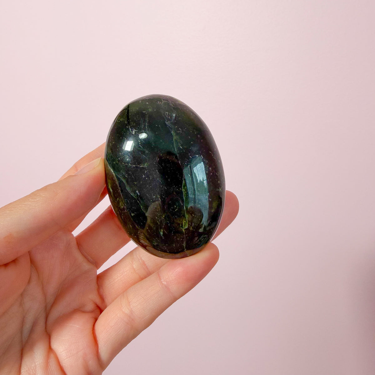 Green Jade Palm