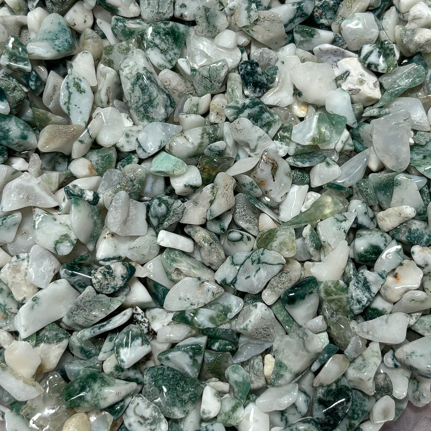 Tree Agate Chips