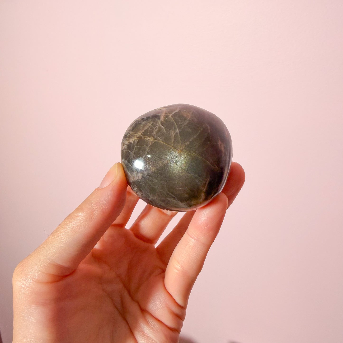 Black Moonstone Palm