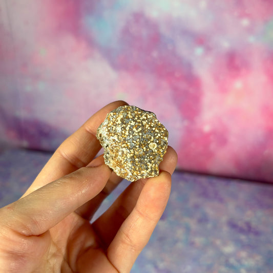 Sea Ocean Jasper Raw