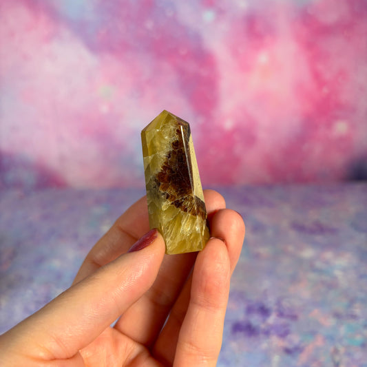 Septarian Mini Point