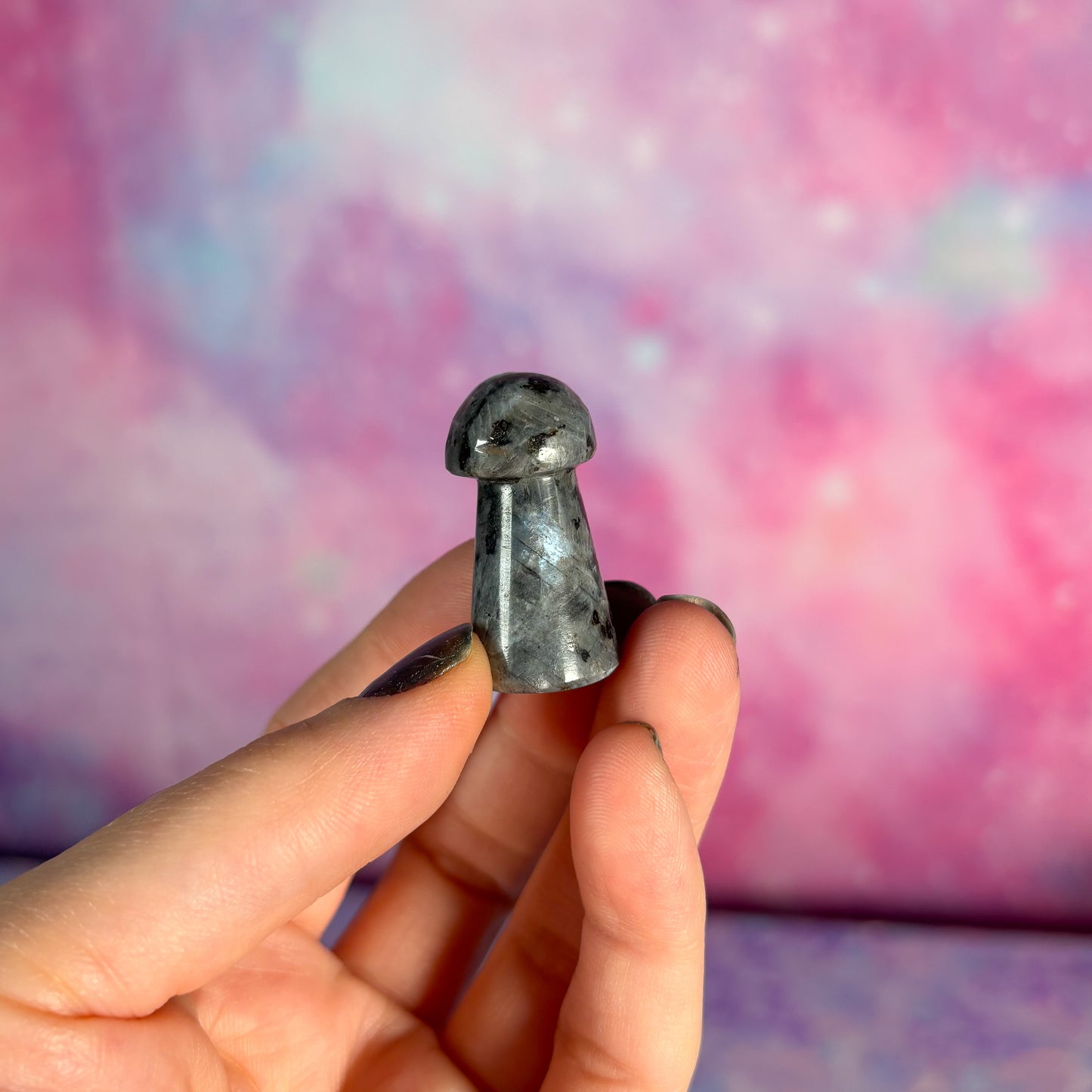 Larvikite Mini Mushrooms