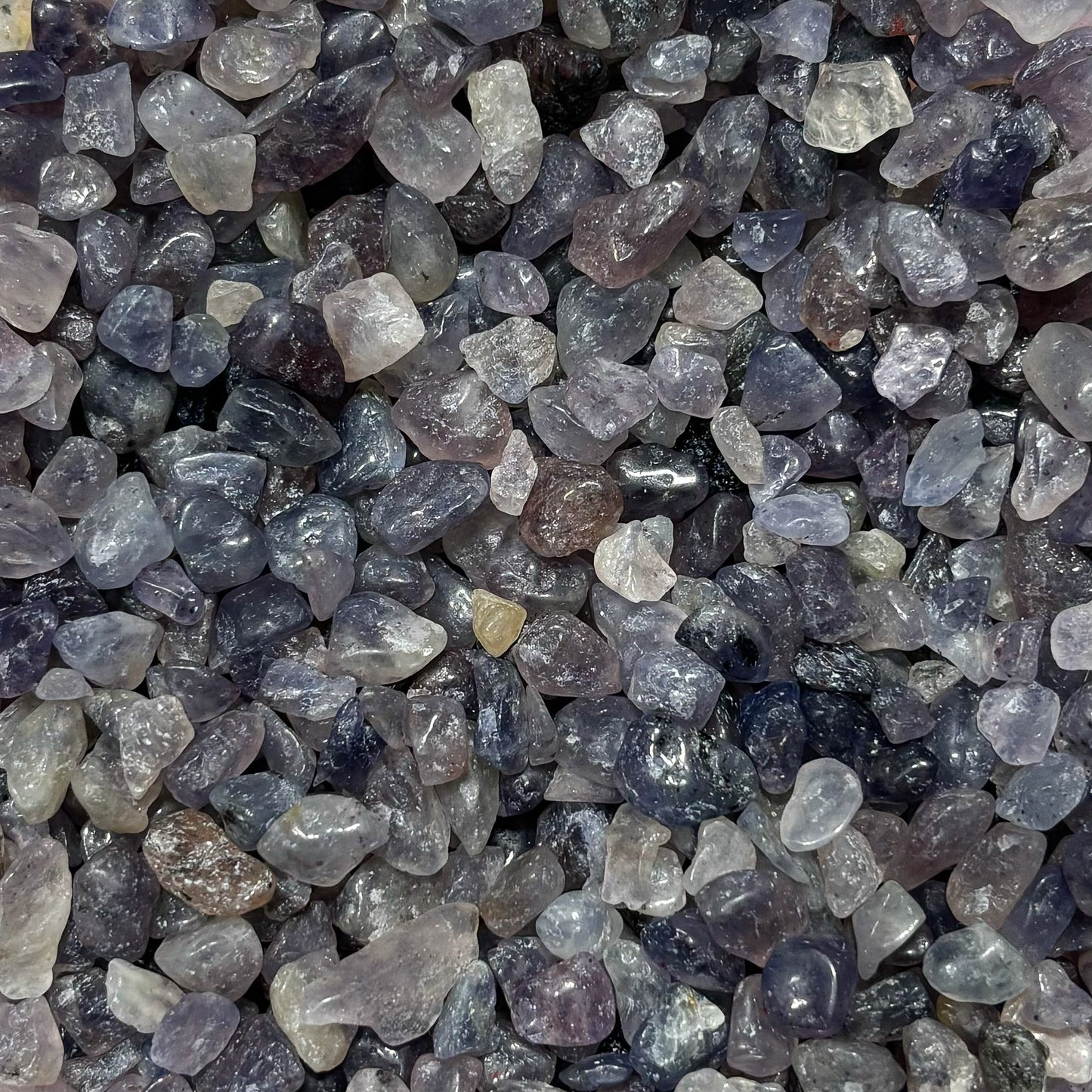 Iolite Chips