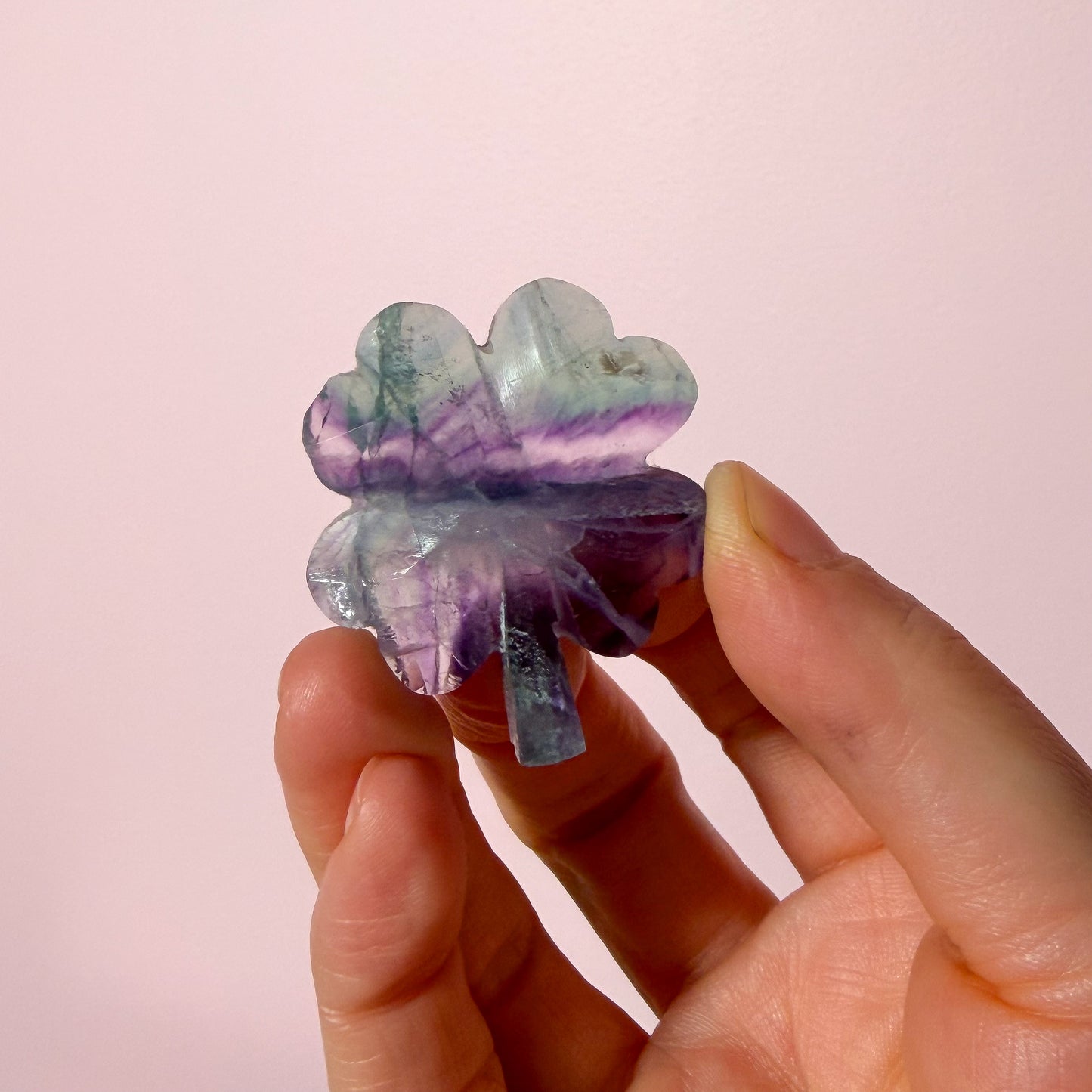 Fluorite Clover