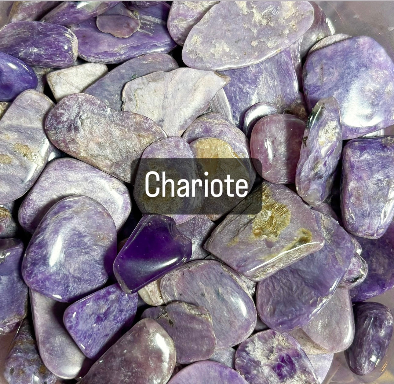 Chariote Crystal Chips