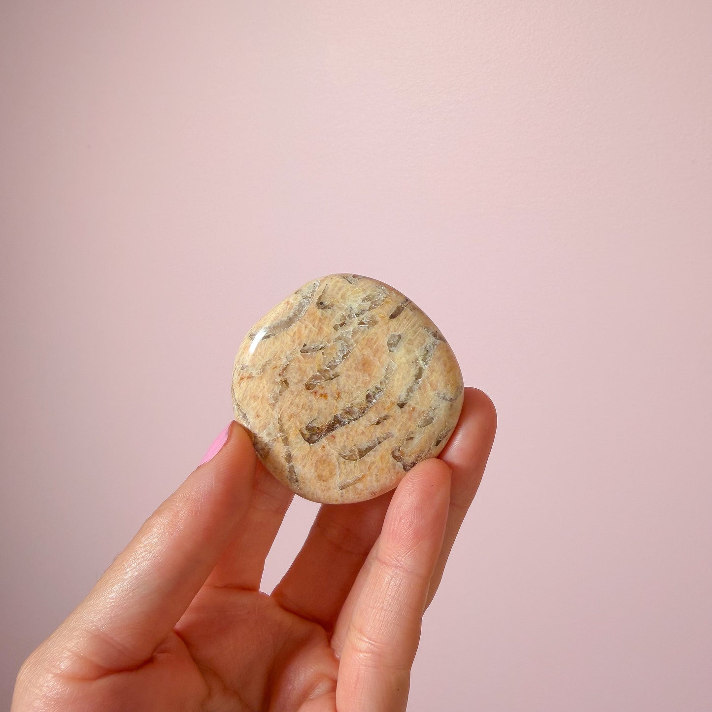Zebradorite Flat Palms