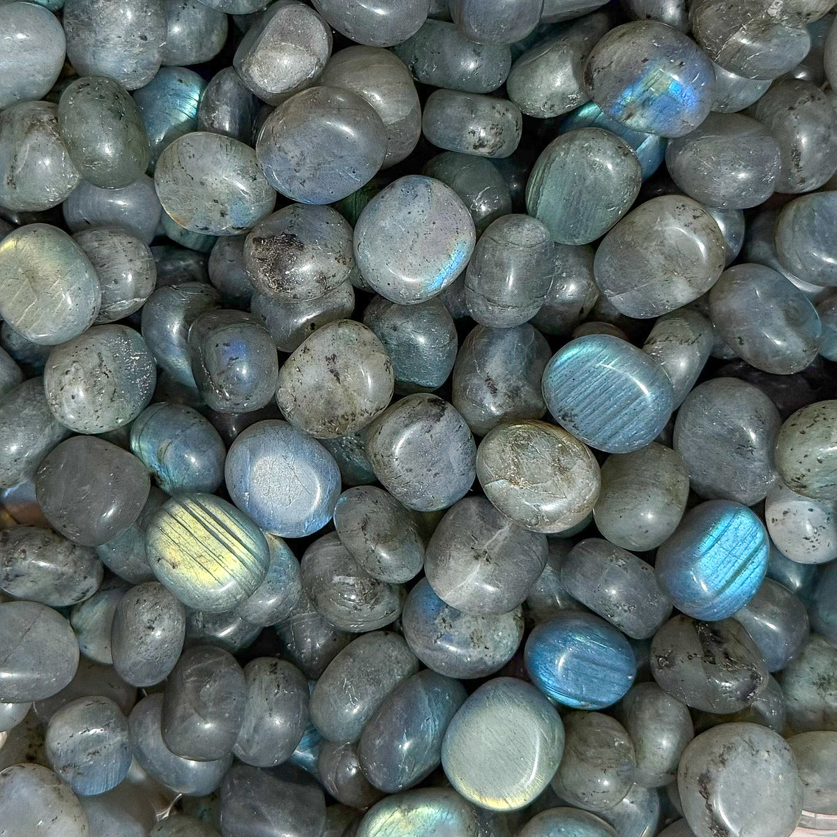 Labradorite Pebbles