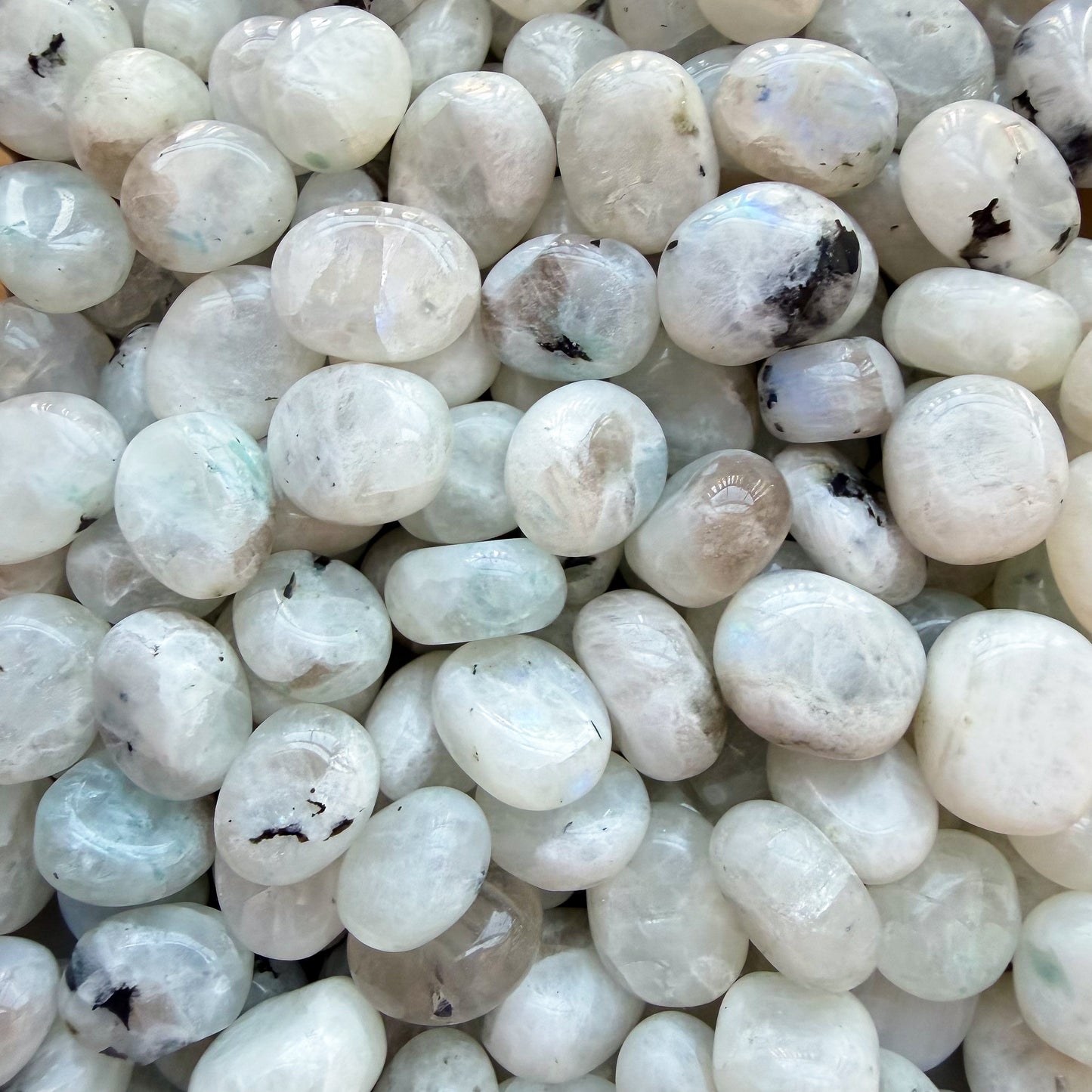 White Rainbow Moonstone Pebbles