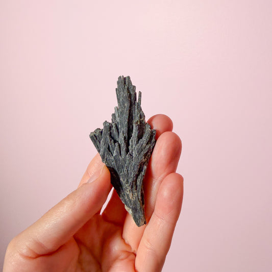 Black Kyanite Sm Raw