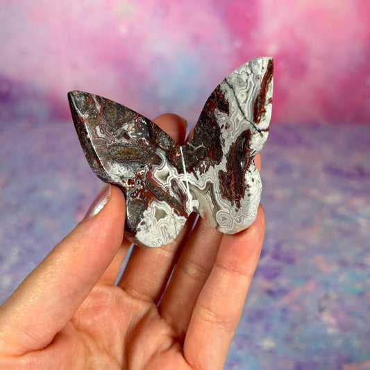 Crazy Lace Agate 3D Butterfly