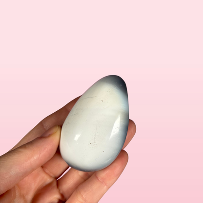 Orca Agate Palms Med