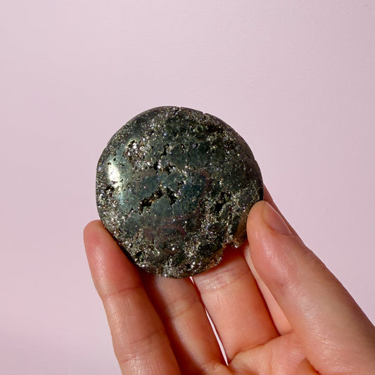 Pyrite Flat Palm