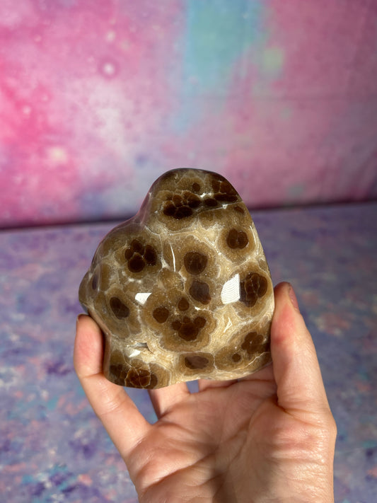 Chocolate Calcite Leopard Freeform B