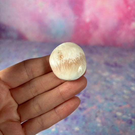 Pink Scolocite Mini Flat Palm