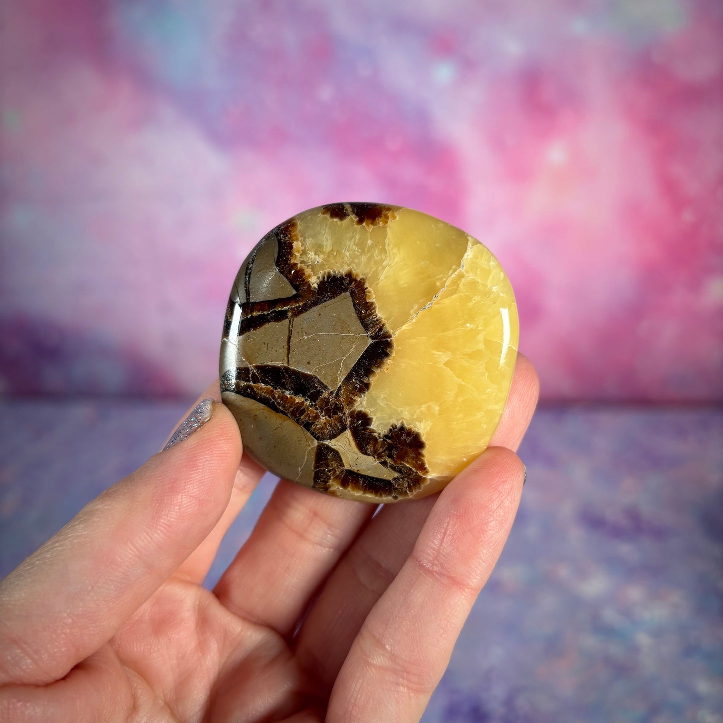 Septarian Flat Palm