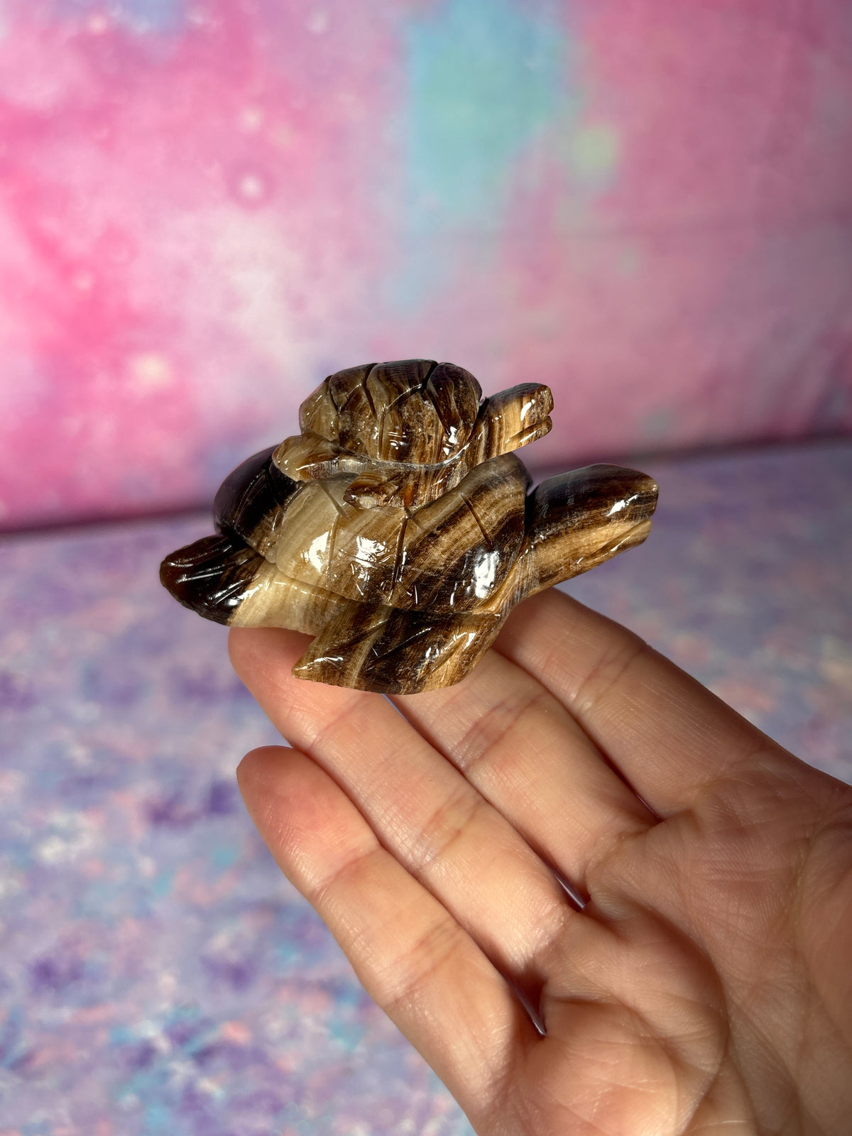 Chocolate Calcite Turtle – Crystal Concepts