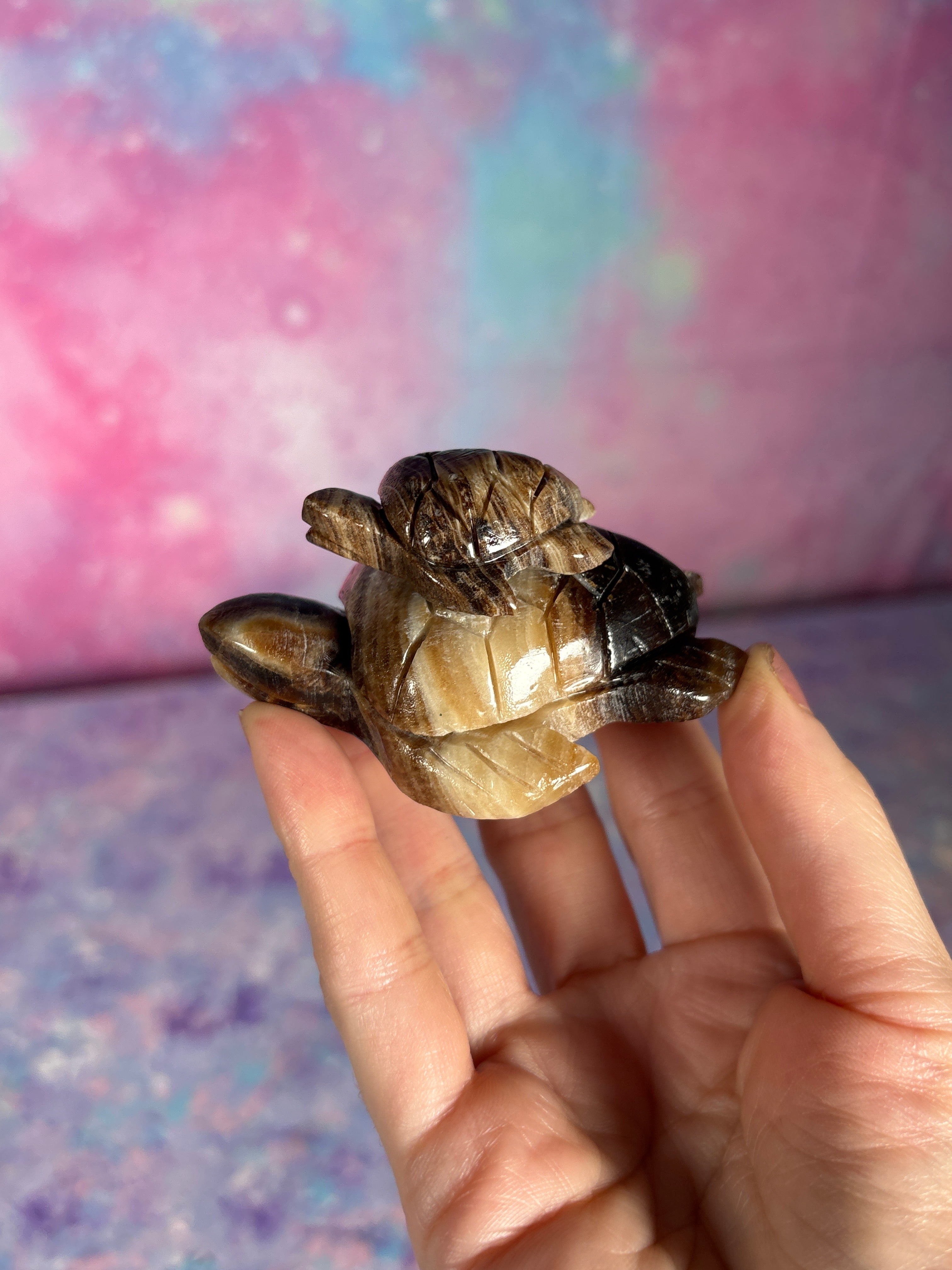 Chocolate Calcite Turtle – Crystal Concepts