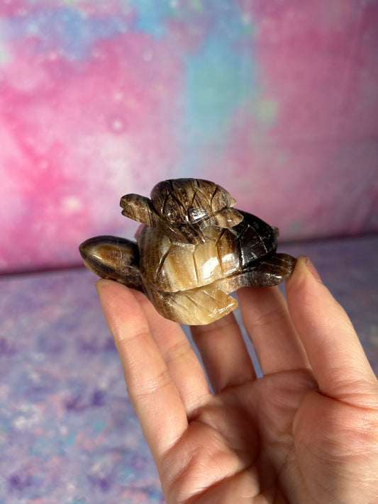 Chocolate Calcite Turtle