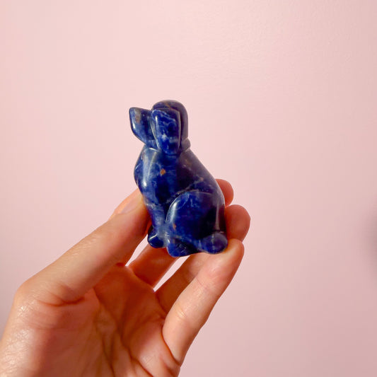Sodalite Dog
