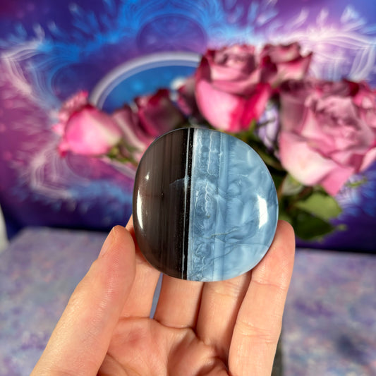 Blue Opal Flat Palm