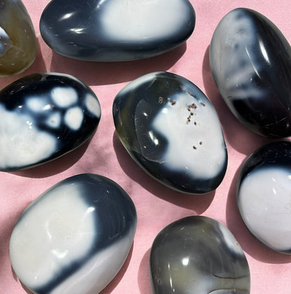 Orca Agate Palms Med