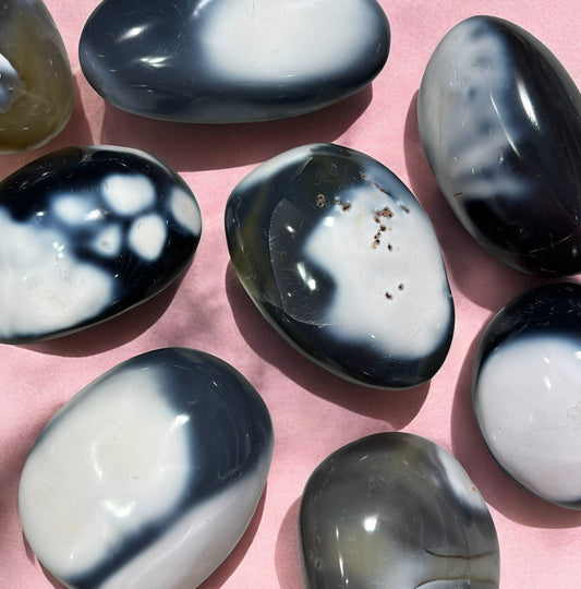 Orca Agate Palms Med