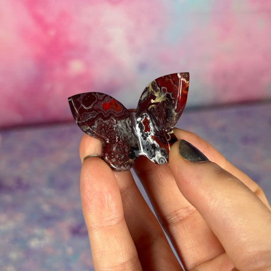 Crazy Lace 3D Butterfly Mini