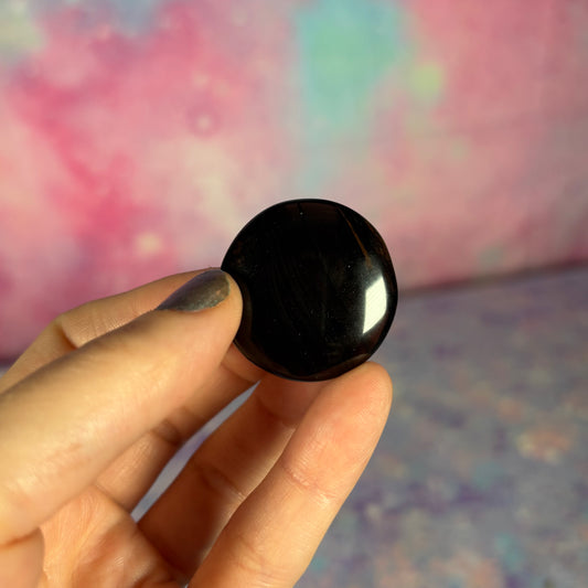 Midnight Lace Obsidian Mini Palm