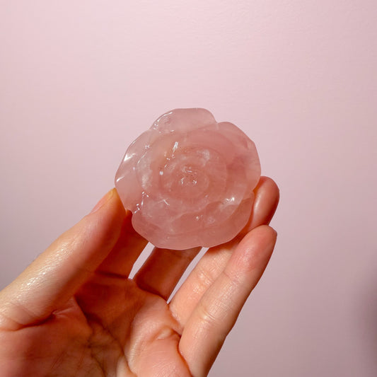 Rose Quartz Rose