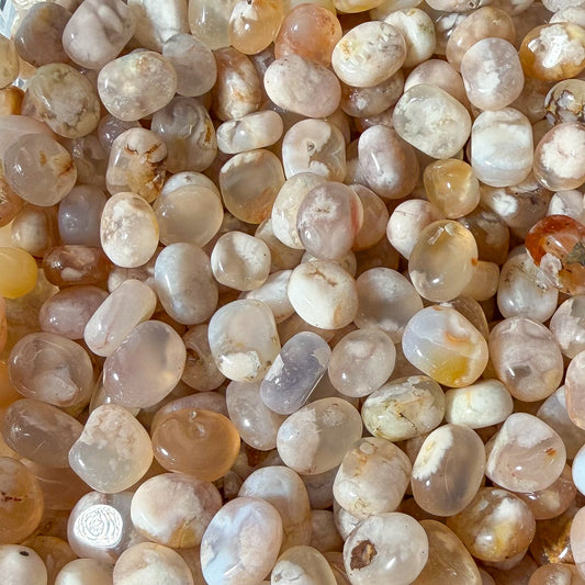 Flower Agate Pebbles