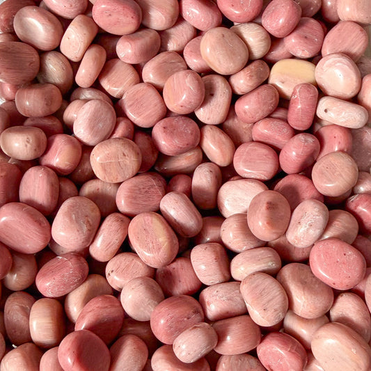 Pink Petrified Wood Pebbles