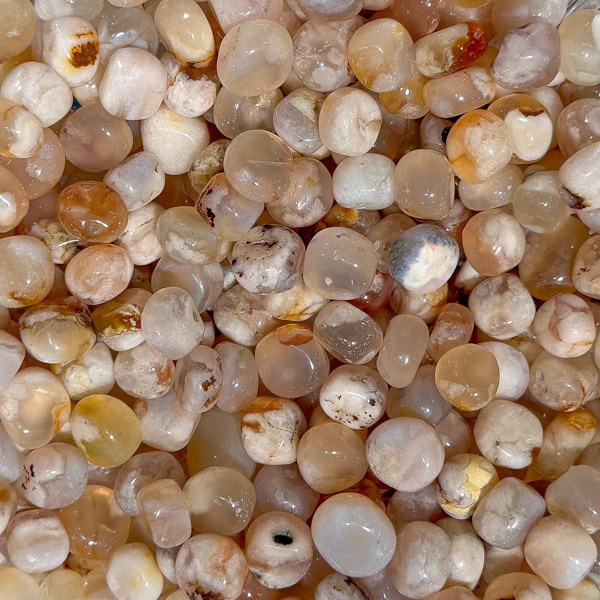 Flower Agate Pebbles