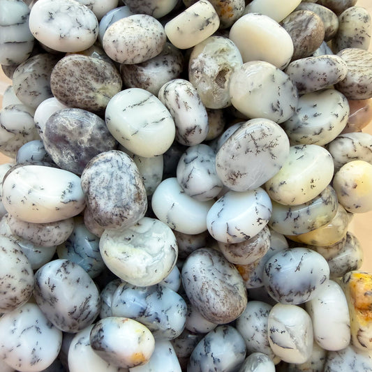 Dendritic Agate Pebbles