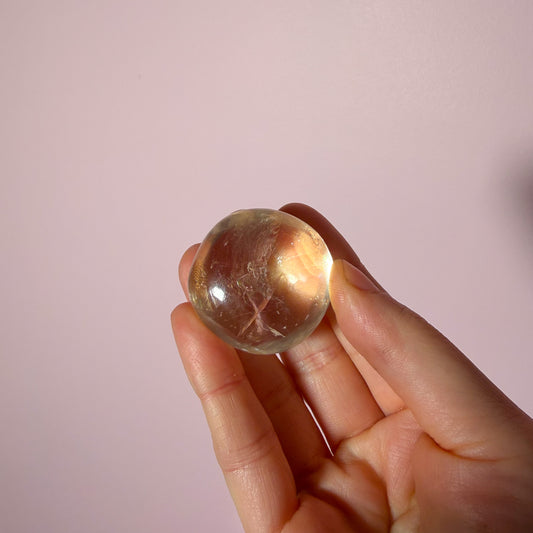 Optical Calcite Palm Small Misfit