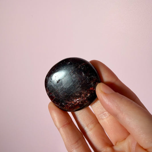 Garnet Flat Palm