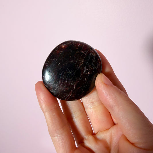 Garnet Flat Palm