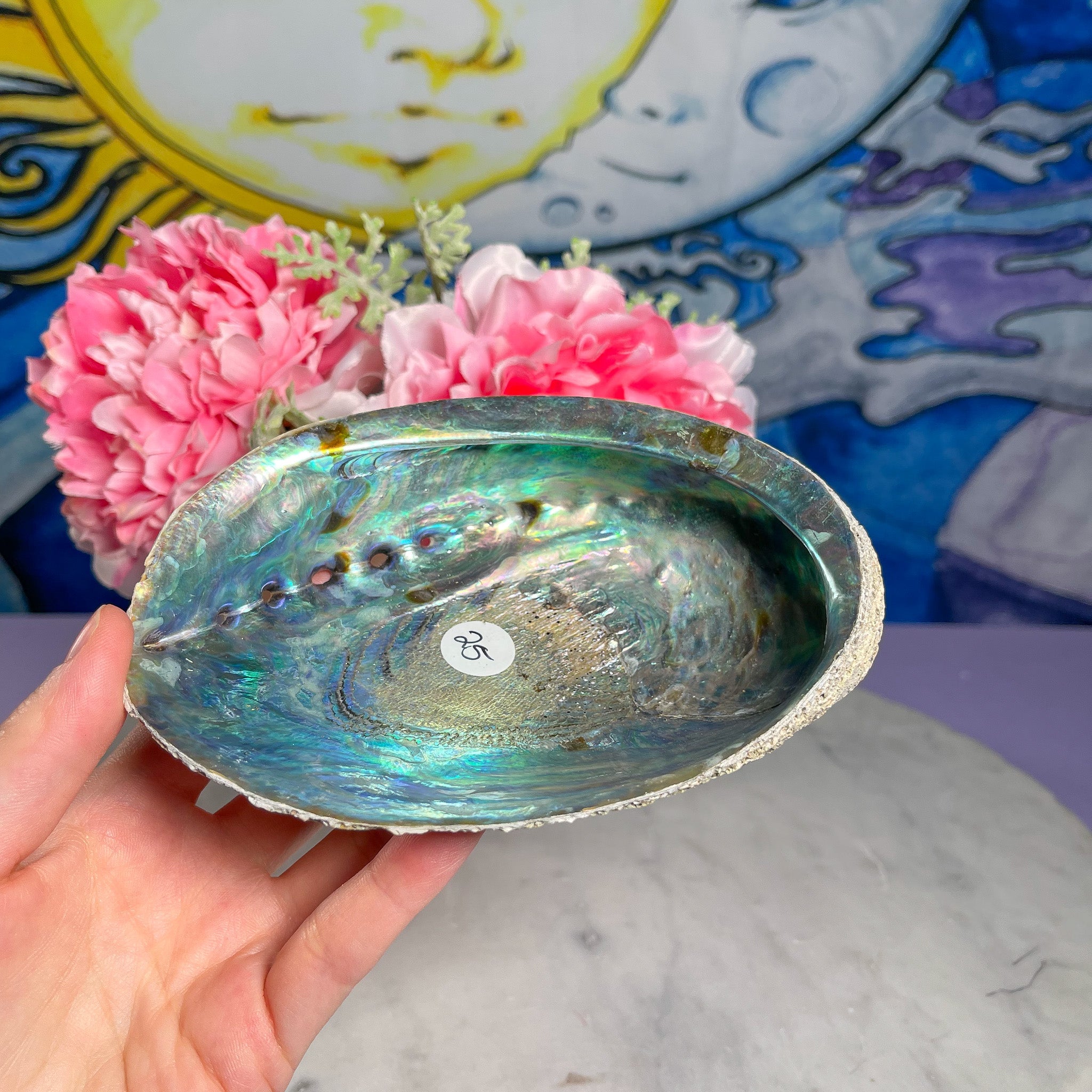 Abalone Shell – Crystal Concepts