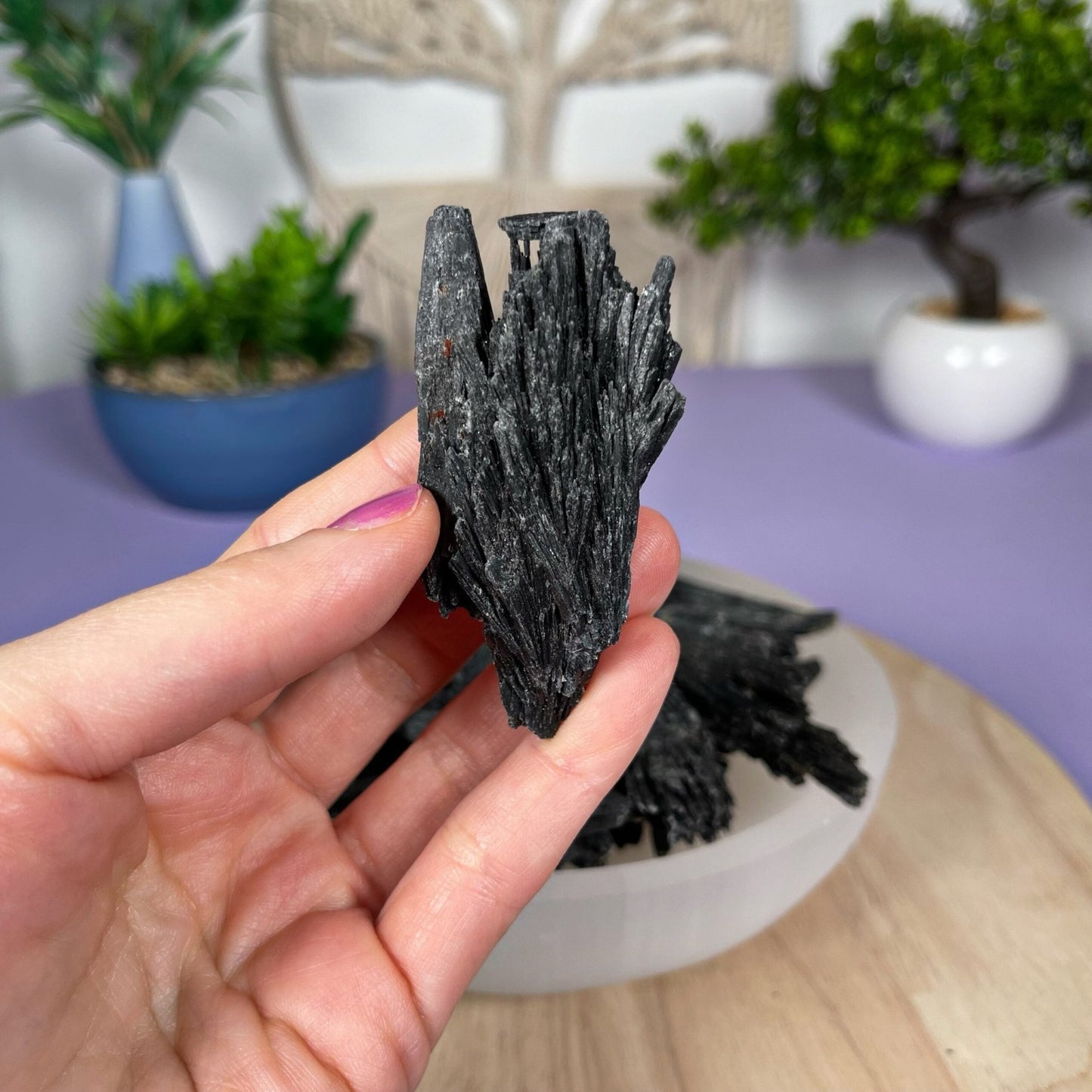 Black Kyanite - Crystal Concepts