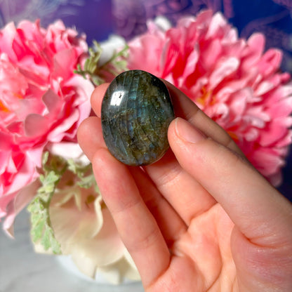 Labradorite Mini Palm - Crystal Concepts